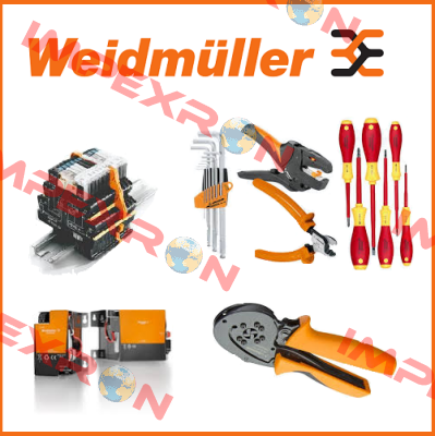 10 AWG  Weidmüller