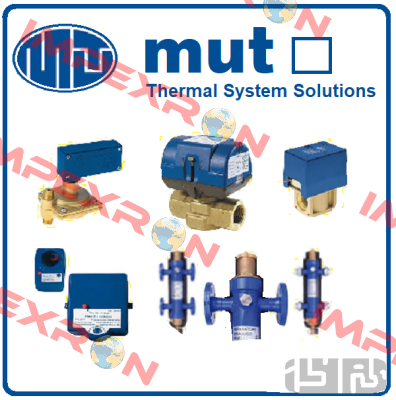 7.001.02096 obsolete, replacement 7.001.01876,7.001.01876  Mut Meccanica Tovo SpA