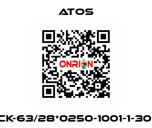 CK-63/28*0250-1001-1-30  Atos