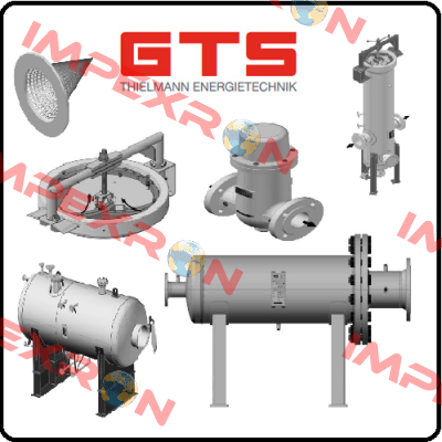 Cover Flange Gasket / if needed  GTS-Thielmann Energietechnik