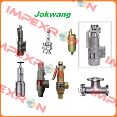 FF100-C-3/4"D1"-A11-212-CN2 5,5BARG  Jokwang