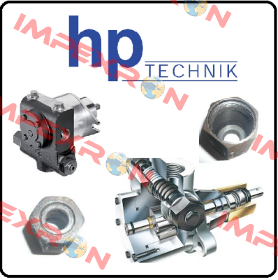 O-RING/ BIK-5103-1-2  HP Technik