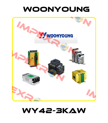 WY42-3KAW WOONYOUNG