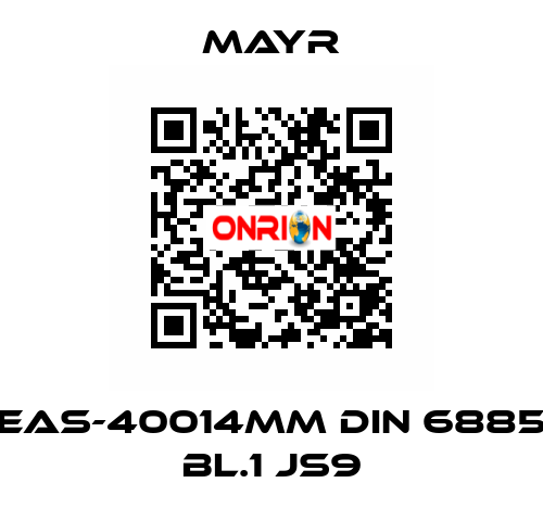 EAS-40014MM DIN 6885 BL.1 JS9 Mayr