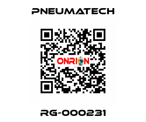 RG-000231 Pneumatech