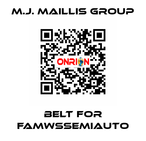 belt for FAMWSSEMIAUTO M.J. MAILLIS GROUP