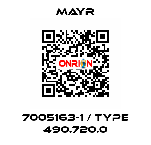 7005163-1 / Type 490.720.0 Mayr