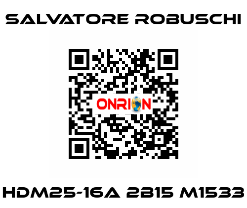 HDM25-16A 2B15 M1533 SALVATORE ROBUSCHI