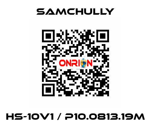 HS-10V1 / P10.0813.19M Samchully