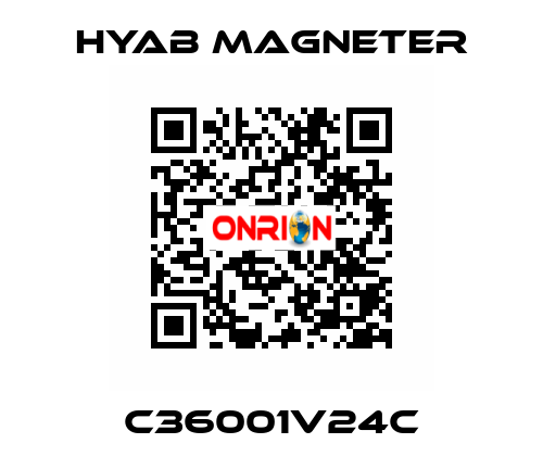 C36001V24C Hyab Magneter