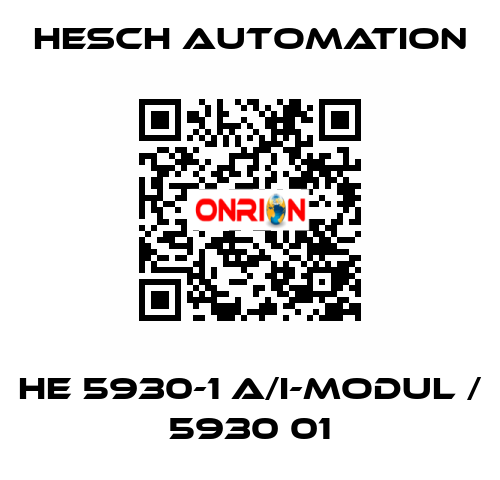 HE 5930-1 A/I-Modul / 5930 01 Hesch Automation