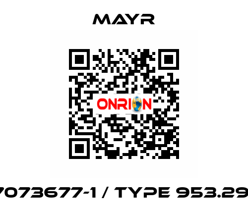 7073677-1 / Type 953.291 Mayr