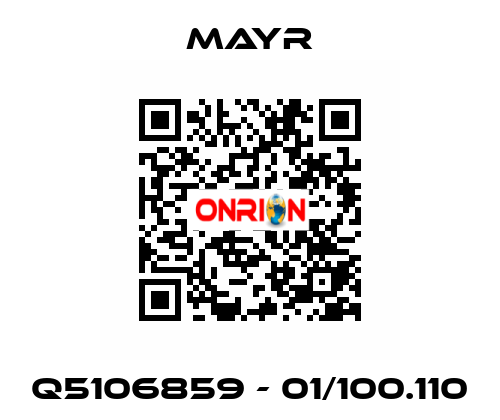 Q5106859 - 01/100.110 Mayr