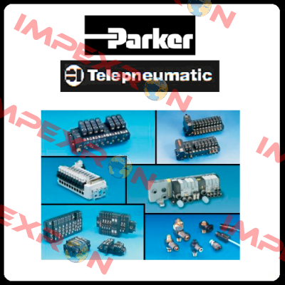 481000C2 / EZ01C2 Parker