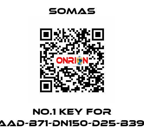 No.1 key for VSS-A5-AAD-B71-DN150-D25-B39-PN10-25 SOMAS