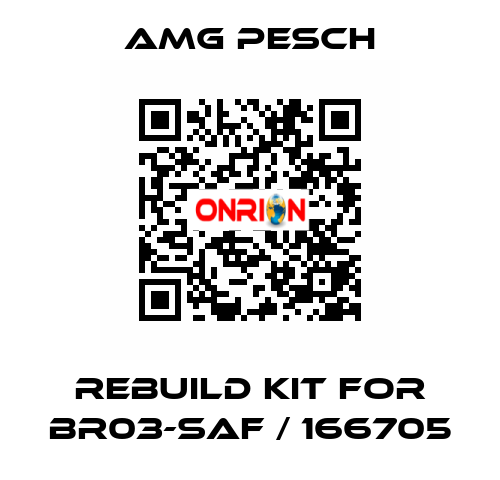 rebuild kit for BR03-SAF / 166705 AMG Pesch
