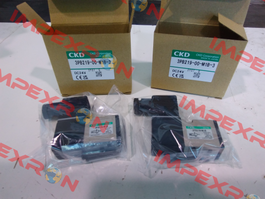 3PB219-00-M1B-3 Ckd