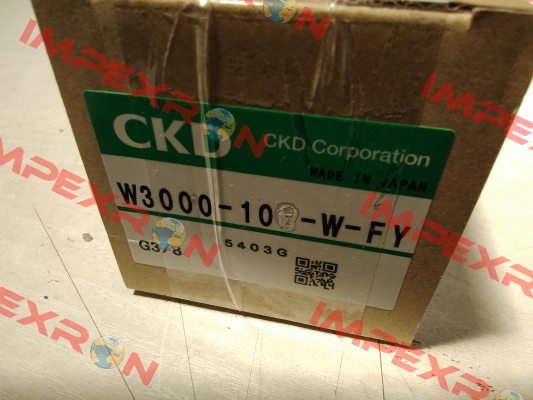 W3000-10-W-fy Ckd