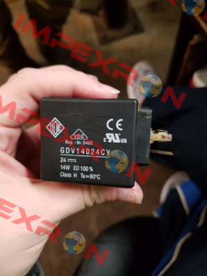 RGDV14024CY / 80900176 Ode
