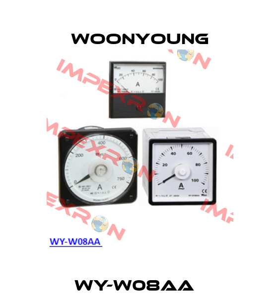 WY-W08AA   WOONYOUNG
