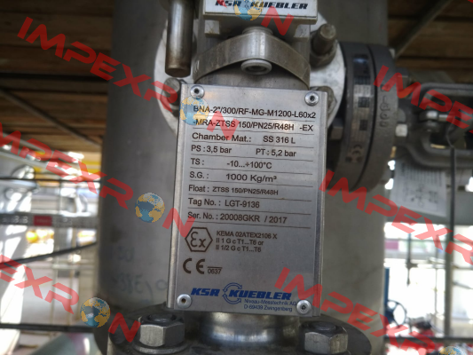 BNA-2"/300/RF-MG-M1.200-L60x2-MRAZTSS150/PN25/R48H-Ex  Ksr Kuebler